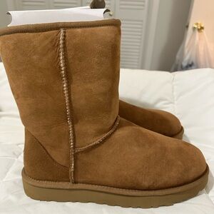 Ugg Classic Short II